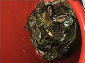 東莞市凱力克 東莞市凱力克