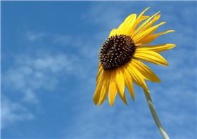 u=2653861462,1206839519&fm=26&gp=0.jpg u=2653861462,1206839519&fm=26&gp=0.jpg