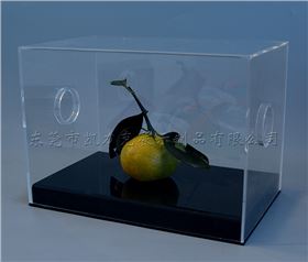 亞克力展示盒 亞克力展示盒