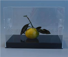 亞克力盒 亞克力盒