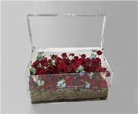 亞克力花盒.jpg 亞克力花盒.jpg