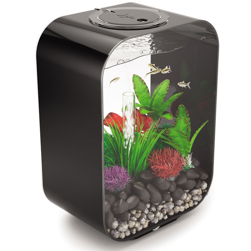 T1_9IUFf4aXXXXXXXX_!!0-item_pic.jpg T1_9IUFf4aXXXXXXXX_!!0-item_pic.jpg