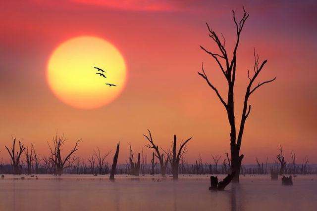 timg (2).jpg timg (2).jpg