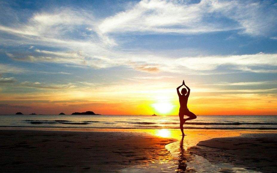 timg (22).jpg timg (22).jpg