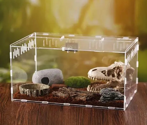 亞克力爬蟲盒 亞克力爬蟲盒